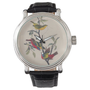 Montre Audubon Peint Bunting Bird Wildlife