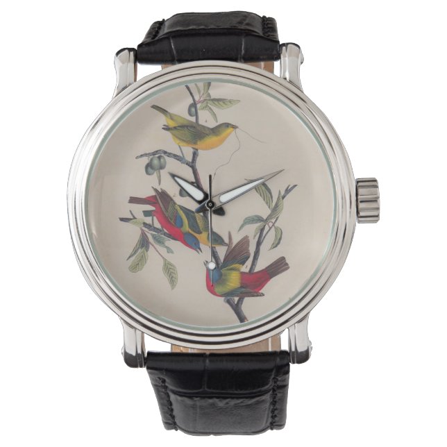 Montre Audubon Peint Bunting Bird Wildlife (devant)