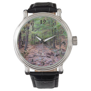 Montre Automne sur Blue Hills Réservation Red Dot Trail