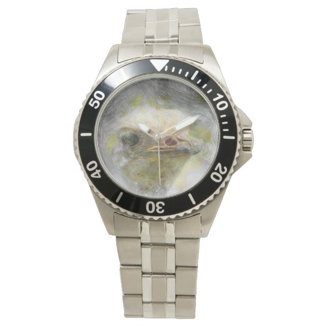 Montre autruche (devant)