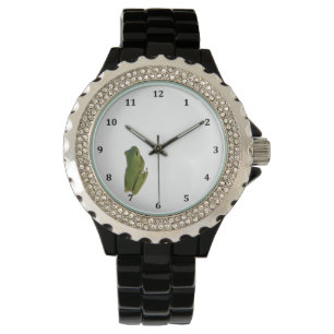 Montre avec grenouille à arbre minuscule