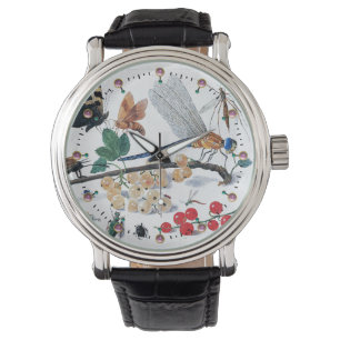 MONTRE BABFLIES, INSECTS, FLOWERS ET PLANTS