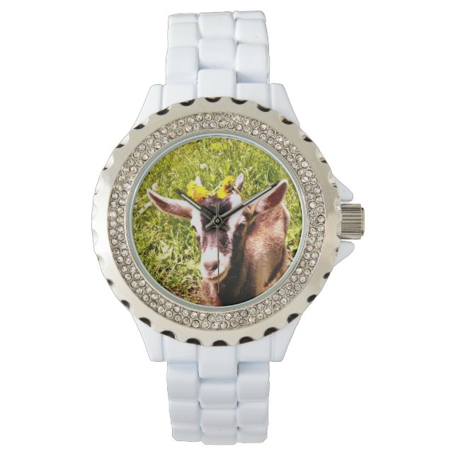 Montre Baby Goat Rhinestone Watch (devant)