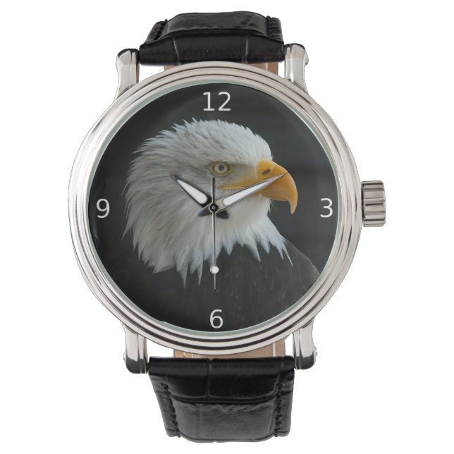 MONTRE BALD EAGLE (devant)