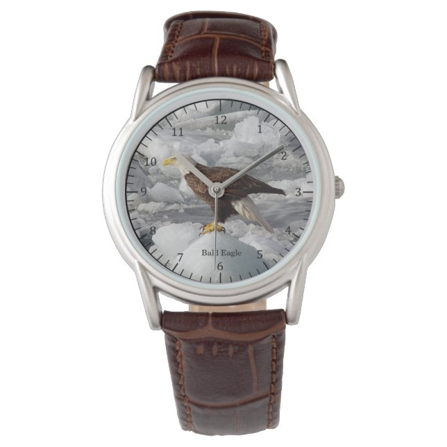 Montre Bald Eagle (devant)