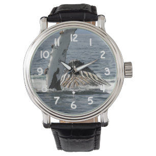 Montre Baleine de bosse