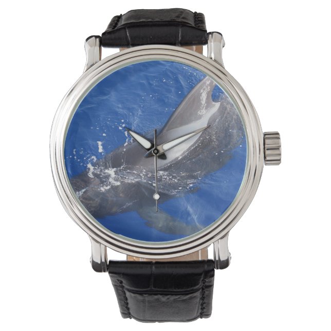 Montre Baleine pilote à Hawaii (devant)