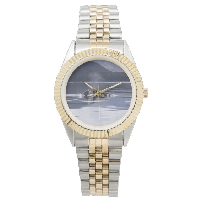 Montre Baleines tueuses (devant)