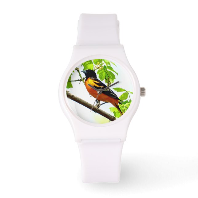 Montre Baltimore Oriole 1 Options de surveillance et de n (Recto)