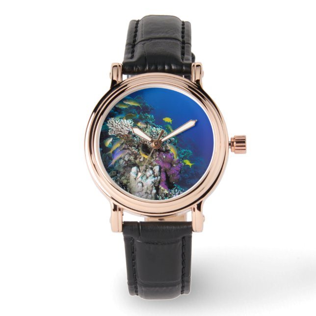 Montre Banc de rougets autour d'un petit corail (Recto)