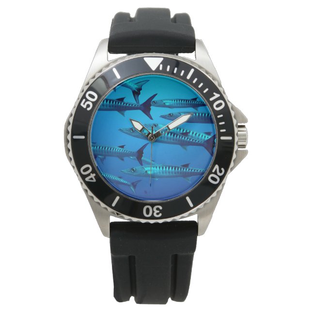 MONTRE BARRACUDA. POISSON DANGEREUX. (devant)