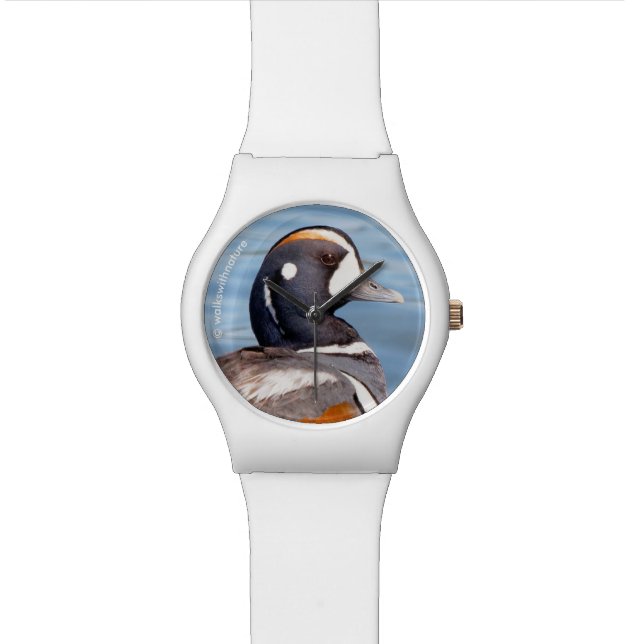 Montre Beau canard arlequin sur le rocher (Fermer)