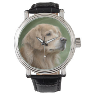 Montre Beau Golden Retriever Chien en Closeup