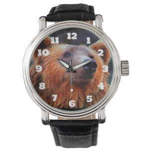 Montre Beau Portrait d'ours Brown Faune Photo