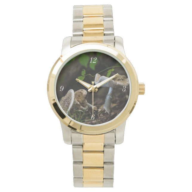 Montre Beauté douteuse (devant)