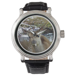 Montre Bébé Cerf Rouge Mignon Pose Dans La Forêt Animal D