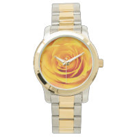 Belle Fleur de rose jaune