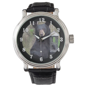 Montre Belle Ours Noir Profitant Snack