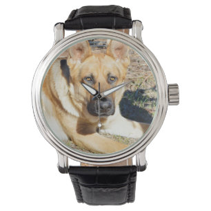 Montre Berger Allemand Des Yeux Sommeils,