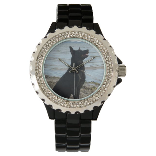Montre Berger noir allemand laqué à la plage (devant)