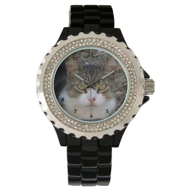 Montre Big Boy's Green Eyes Watch (devant)