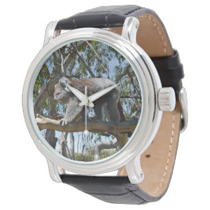 Montre Big Homme Australian Koala Bear,