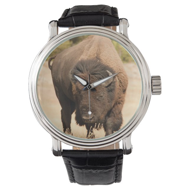 Montre Bison (devant)
