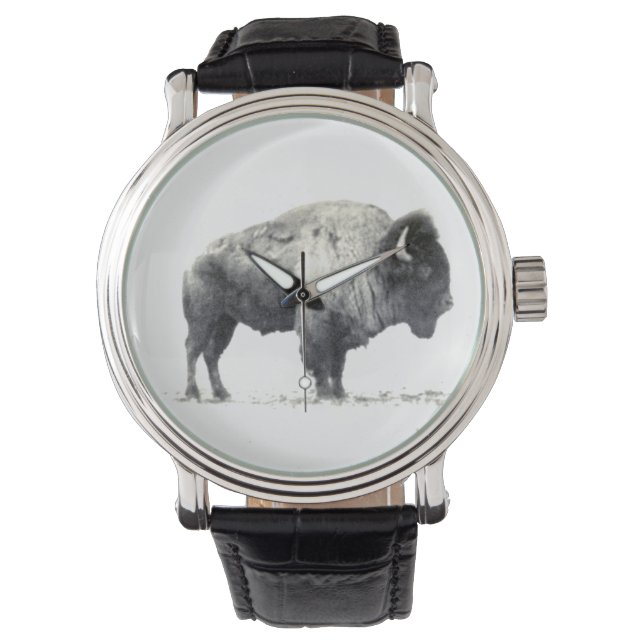 Montre Bison américain (devant)
