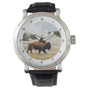 Montre Bison et vieille croyance