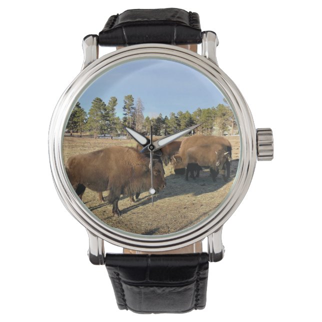 Montre Bisons dans le Colorado (devant)