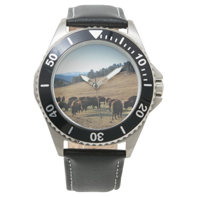 Montre Bisons dans le Colorado (devant)