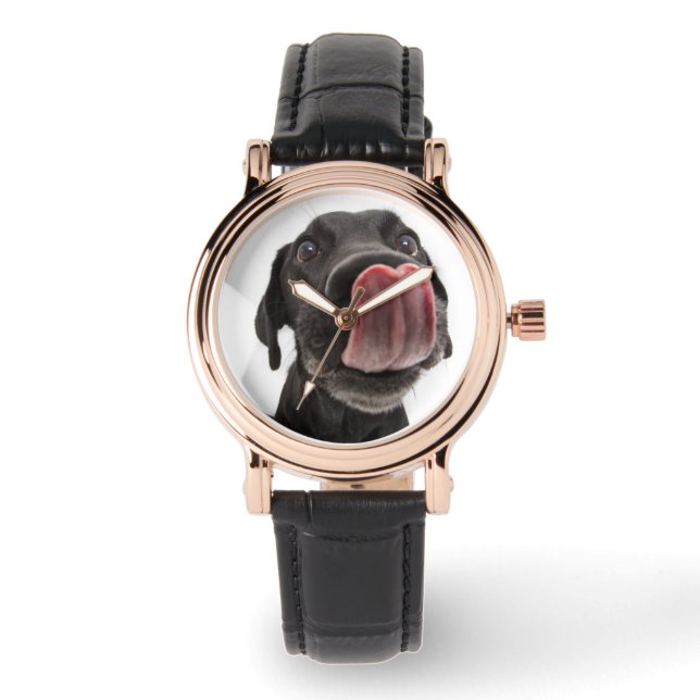 Montre Black Labrador Licking (Recto)
