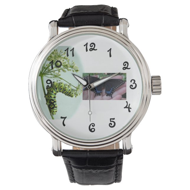 Montre Black Swallowtail Caterpillar manger persil watch (devant)
