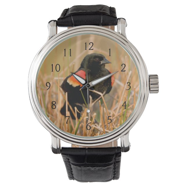 Montre Blackbird mal chanté (devant)