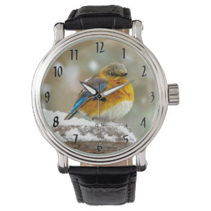 Montre Bleuet de l'Est en neige - Photo originale
