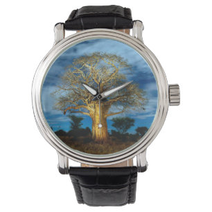 Montre Bobab (Adansonia) Arbre Éclairé Par La Lune