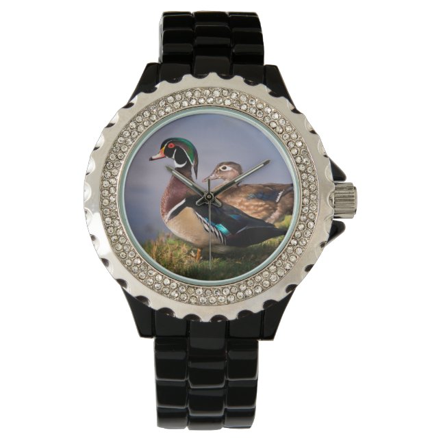 Montre Bord du lac, Canard branchu (devant)