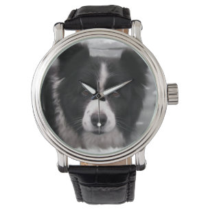 Montre Border collie