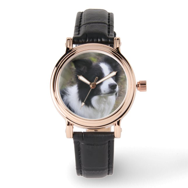 Montre Border collie art (Recto)