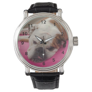 Montre Bouledogue anglais