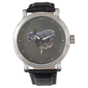 Montre Bouledogue français en course