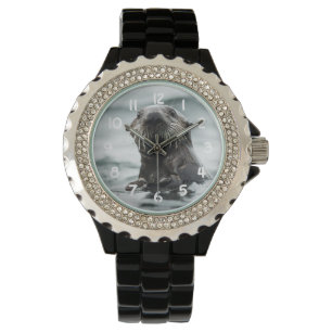 Montre Bouton