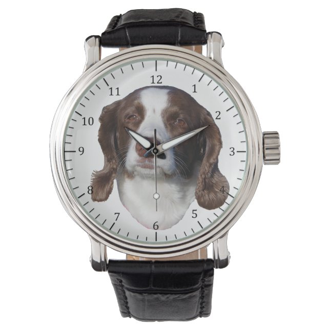 Montre Brown et blanche pour chien (devant)