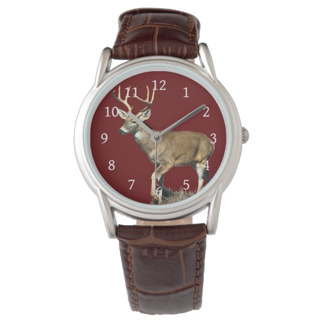 Montre Buck White Tailed (devant)