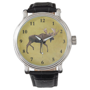 Montre Bull Moose