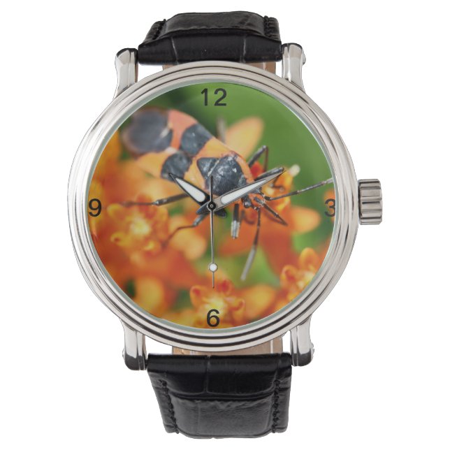 Montre Cacher en vue (devant)