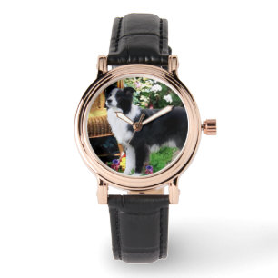 Montre Cadeaux d'art Collie Frontière