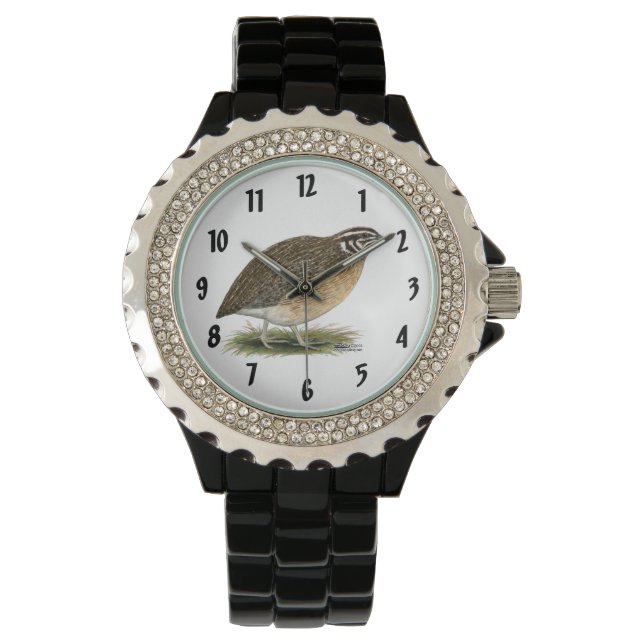 Montre Caille Pharaon Coturnix (devant)