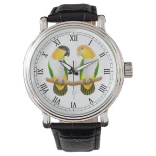 Montre Caique Parrot Love Watch