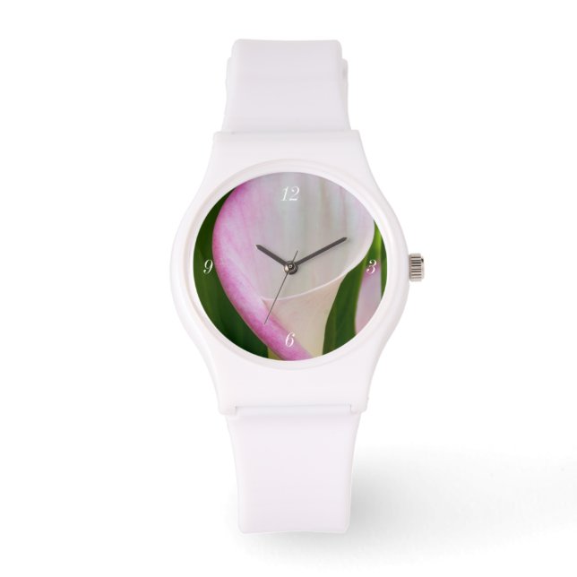 Montre Calla Pano (Recto)